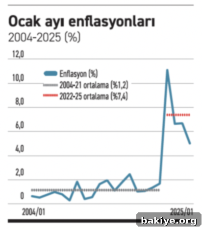 Yüksek Enflasyona Karşı %30 Hedefi 2 Ocak Ayı Enflasyon Grafiği ve Ortalama Enflasyonlar