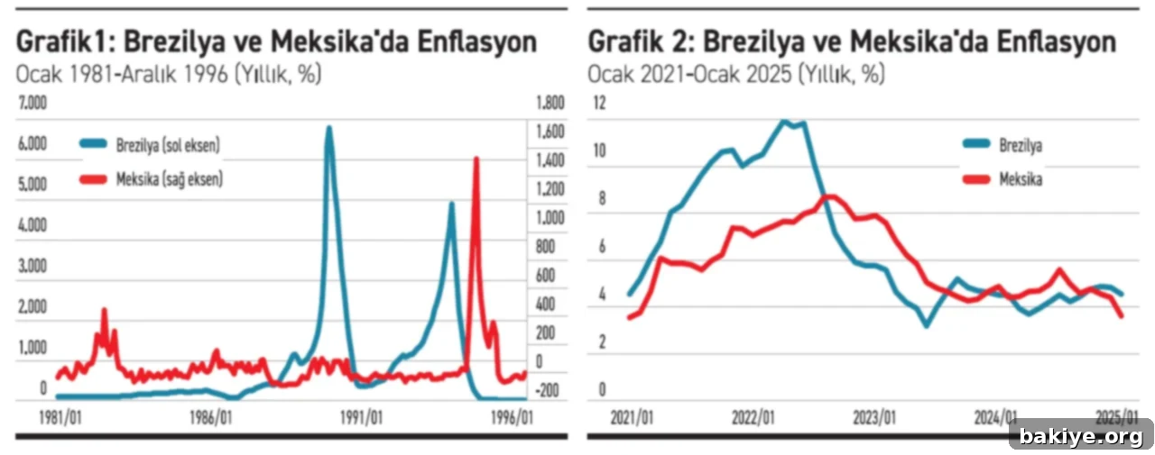 Hani Anlaşıyorduk 2 Brezilya ve Meksika Enflasyon Verileri