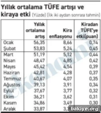 Kira Enflasyonu: Yıllık Artışın Beşte Biri Tek Kalemden 2 Aa Haber Tablo 06032025 1