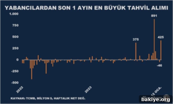 Tahvile yabancı akını 2 Yabancı Yatırımcılar Türkiye'ye akın ediyor