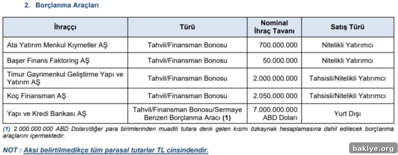 SPK'dan 5 Şirkete Tahvil ve Bono İhracı Onayı 2 SPK 2025-21 Bülteninden Borçlanma Aracı İhracı Onay Detayları