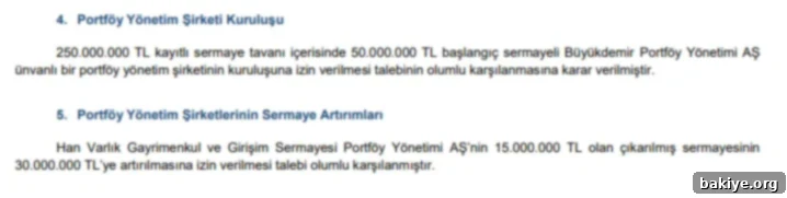 SPK'dan başvurulara onay yağmuru 4 Sermaye Piyasası Kurulu'nun onayladığı başvuruların özetini gösteren bir liste.
