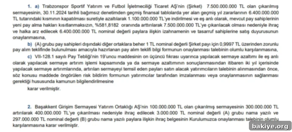 SPK'dan Onay Yağmuru 2 SPK 2025-30 Bülten Onayları Detay Tablosu 1