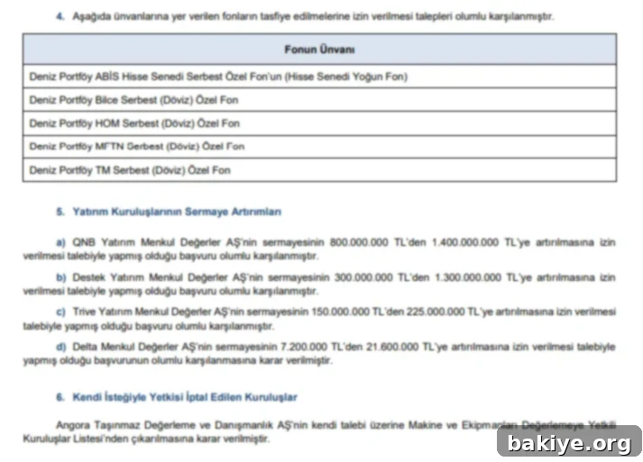 SPK'dan Onay Yağmuru 4 SPK 2025-30 Bülten Onayları Detay Tablosu 3