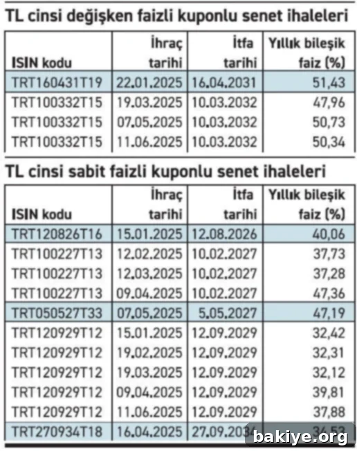 Borçlanma Yanlışı mı, Enflasyon İnanışı mı? 2 Aa Haber Tablo 12062025