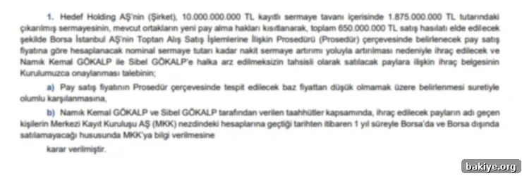 SPK'dan Başvurulara Cevap Geldi 2 B1