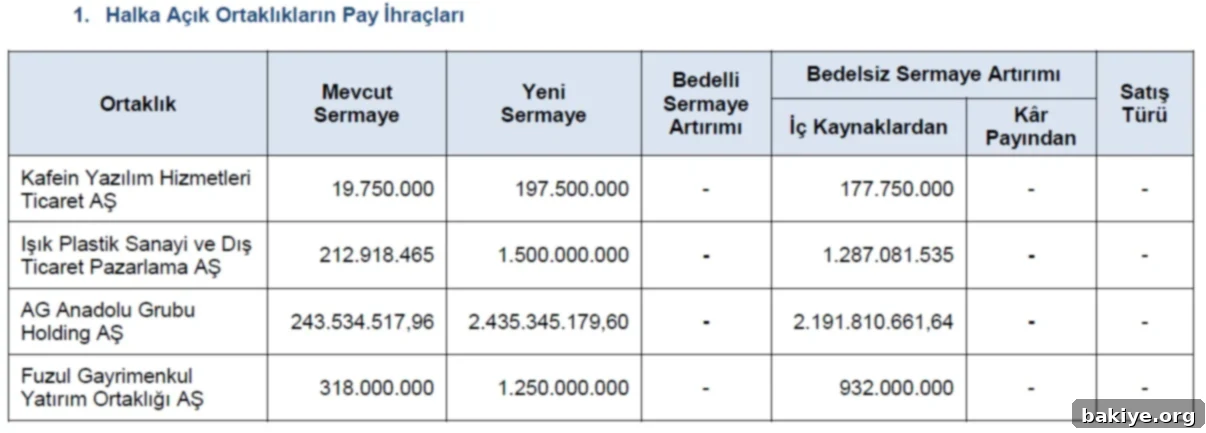 SPK'dan Dört Şirkete Sermaye Güçlendirme Onayı 2 2025 42 1