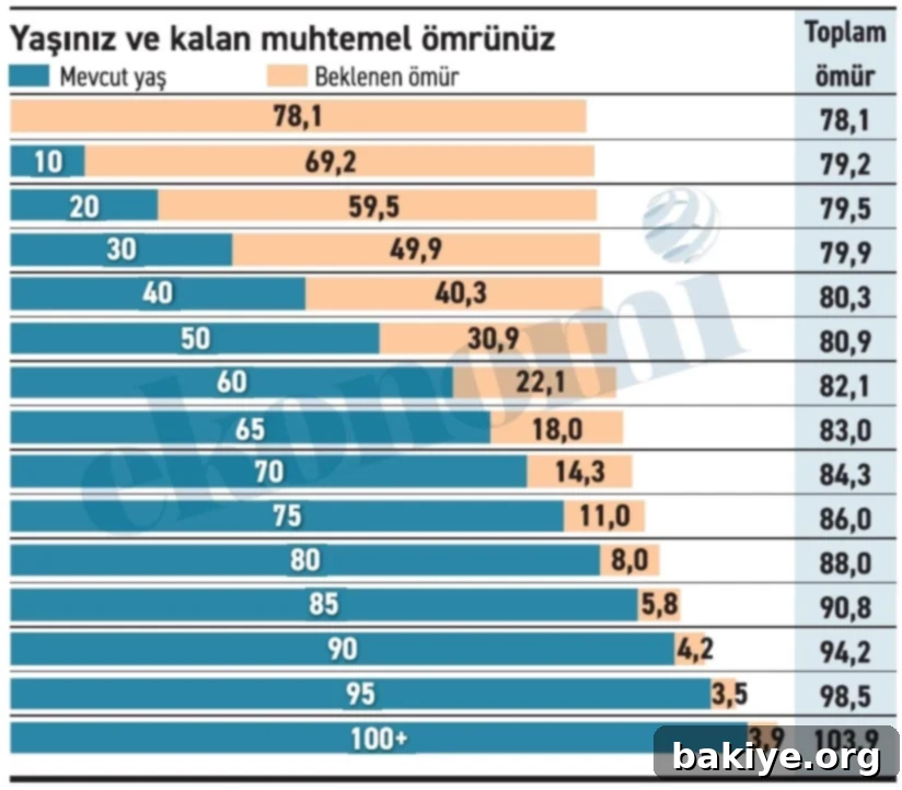 Kendi Zaman Çizelgeniz 2 Türkiye'de Doğuşta Beklenen Yaşam Süresi İstatistikleri