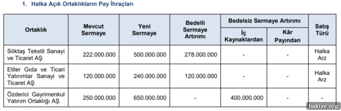 SPK'dan 3 Şirkete Sermaye Artırımına Yeşil Işık 2 SPK 2025/44 sayılı bülten onayı