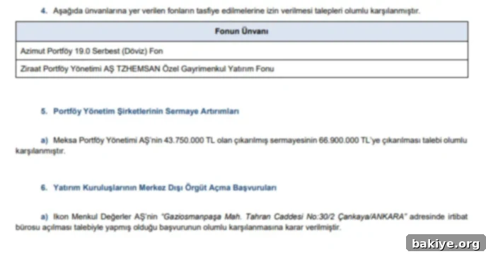 SPK Başvuruları Yanıtladı 3 Detaylı SPK Başvuru Onayları