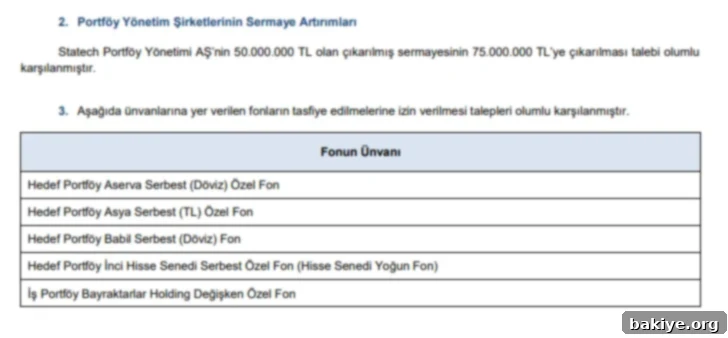 SPK başvuruları yanıtladı 3 Başvuru-1