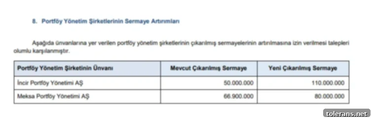 SPK'dan Yatırımcılara Müjdeli Haber 4 Batıçim Batı Anadolu Çimento Sanayi AŞ Esas Sözleşme Değişikliği