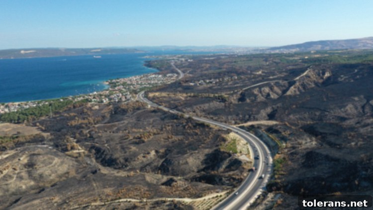 2025 Türkiye'sinden Öne Çıkan Gelişmeler 4 Orman Yangınları