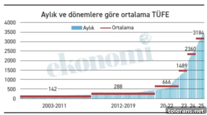 Tüketici Fiyatları Merdiveni: Enflasyon Düşüşü Gerçeği Ne Kadar Yansıtıyor? 2 Enflasyon Grafiği