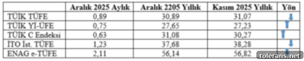 2026'da İşler Değişecek 3 Türkiye Enflasyon Göstergeleri