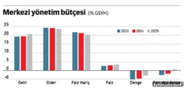 Mali İstikrar Sağlanırken Adalet Nerede? 2 2025 Bütçe Gelişmeleri