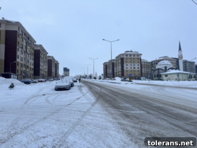 Soğuk Hava Türkiye'yi Esir Almaya Devam Ediyor 5 Erzurum Kar Manzarası