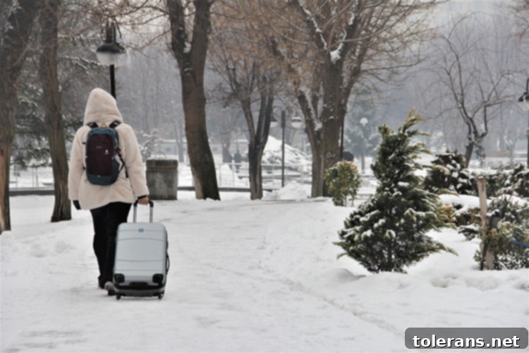 Türkiye'nin Birçok Yerinde Hava Durumu Alarmı: Yağış ve Soğuk Hava Uyarısı 4 Kayseri'de Kar Yağışı ve Yürümekte Güçlük Çeken Vatandaşlar