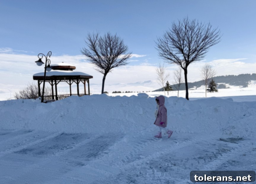 Doğu'nun Ayazı Dinmiyor 4 Ardahan'da Kırağı ve Buzlanma