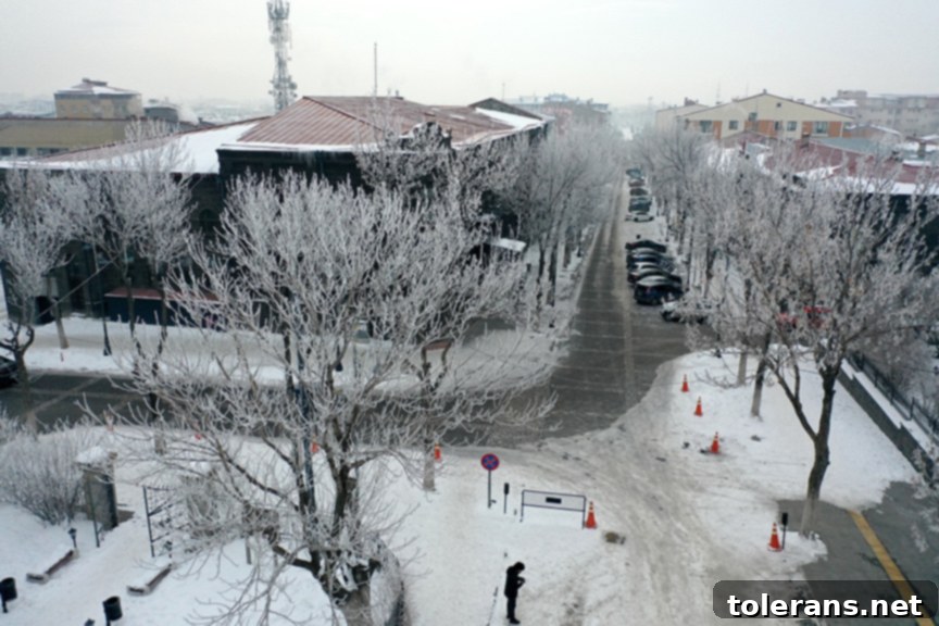 Doğu'nun Ayazı Dinmiyor 5 Kars'ta Kırağı ve Buzlanma