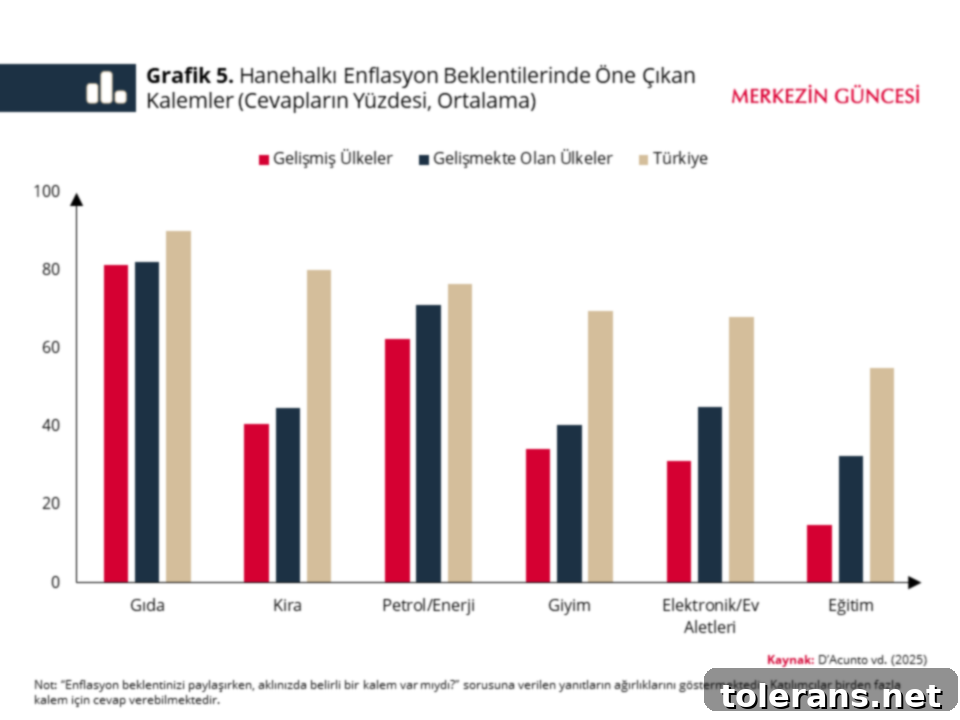 Harcama Kalemleri Enflasyon Beklentilerini Etkileyen Harcama Kalemleri