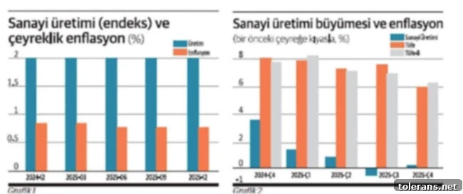 Sanayi Nabzı 2 Sanayi Üretimi ve Enflasyon İlişkisi