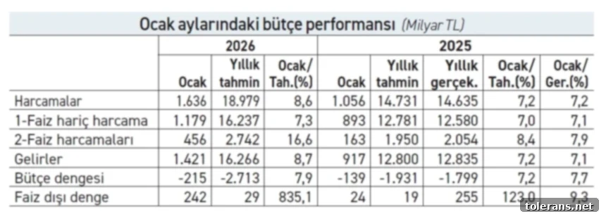 Bütçe Fazlası Sevinç Mi, Açmaz Mı? 2 Ocak Ayı Bütçe Sonuçları